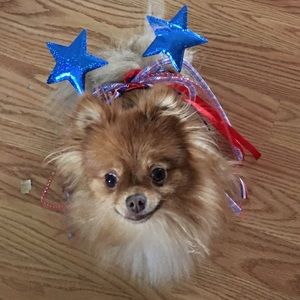 Meet your Posher, Trisha